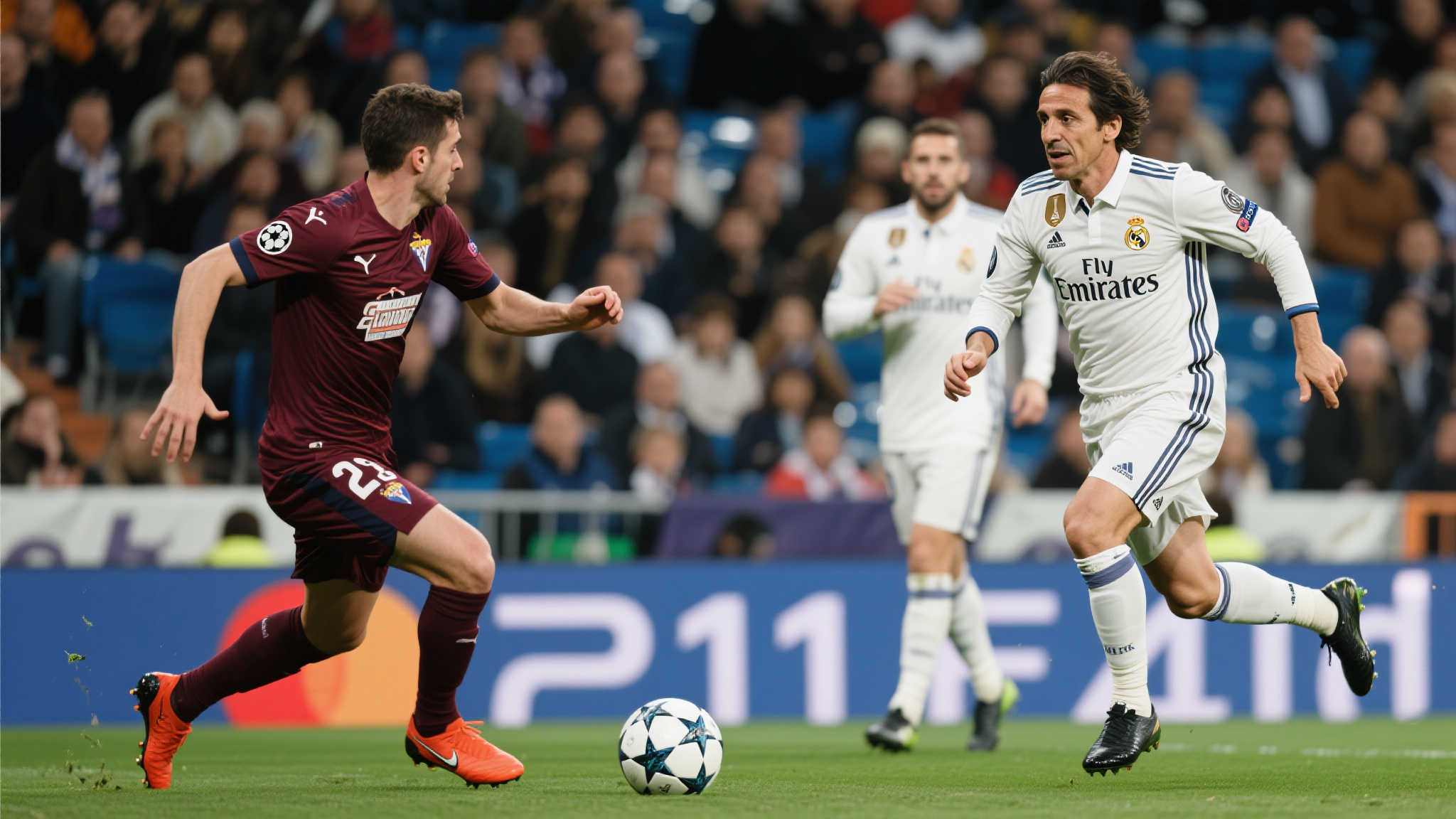 关于熊猫体育直播